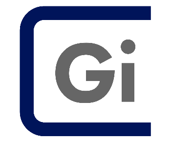 Gi Group Holding Spain
