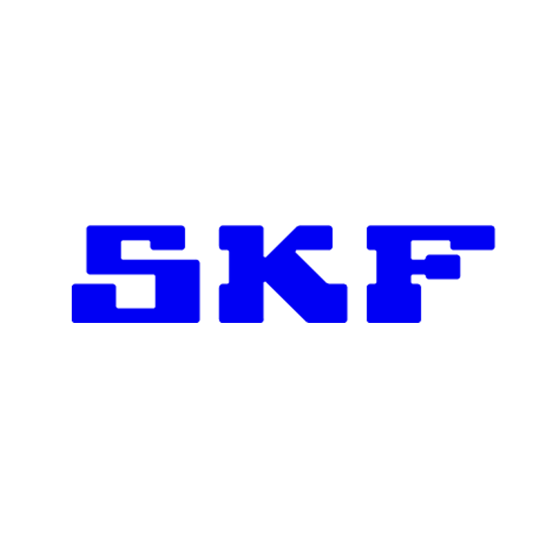 SKF China
