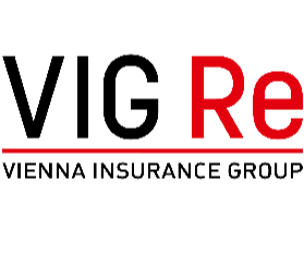 VIG Re Germany