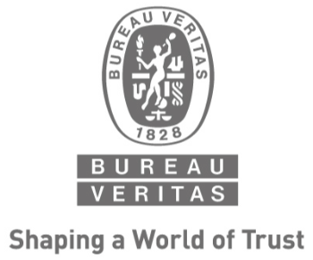 Bureau Veritas South Africa Group